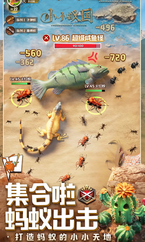 https://api.xintenghuyu.com/static/uploads/20250729084938289.png