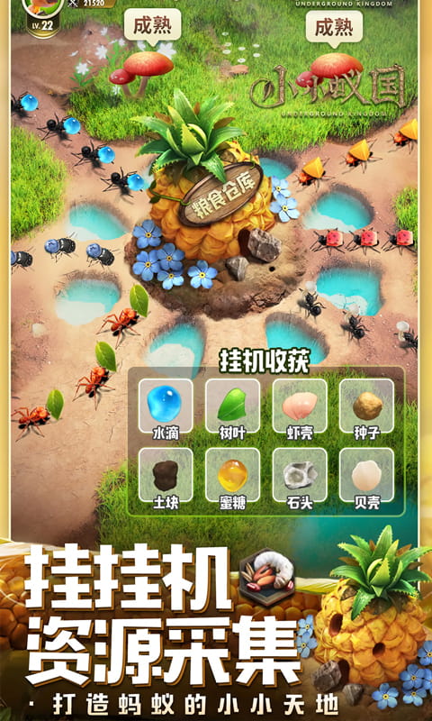 https://api.xintenghuyu.com/static/uploads/20250729084938999.png